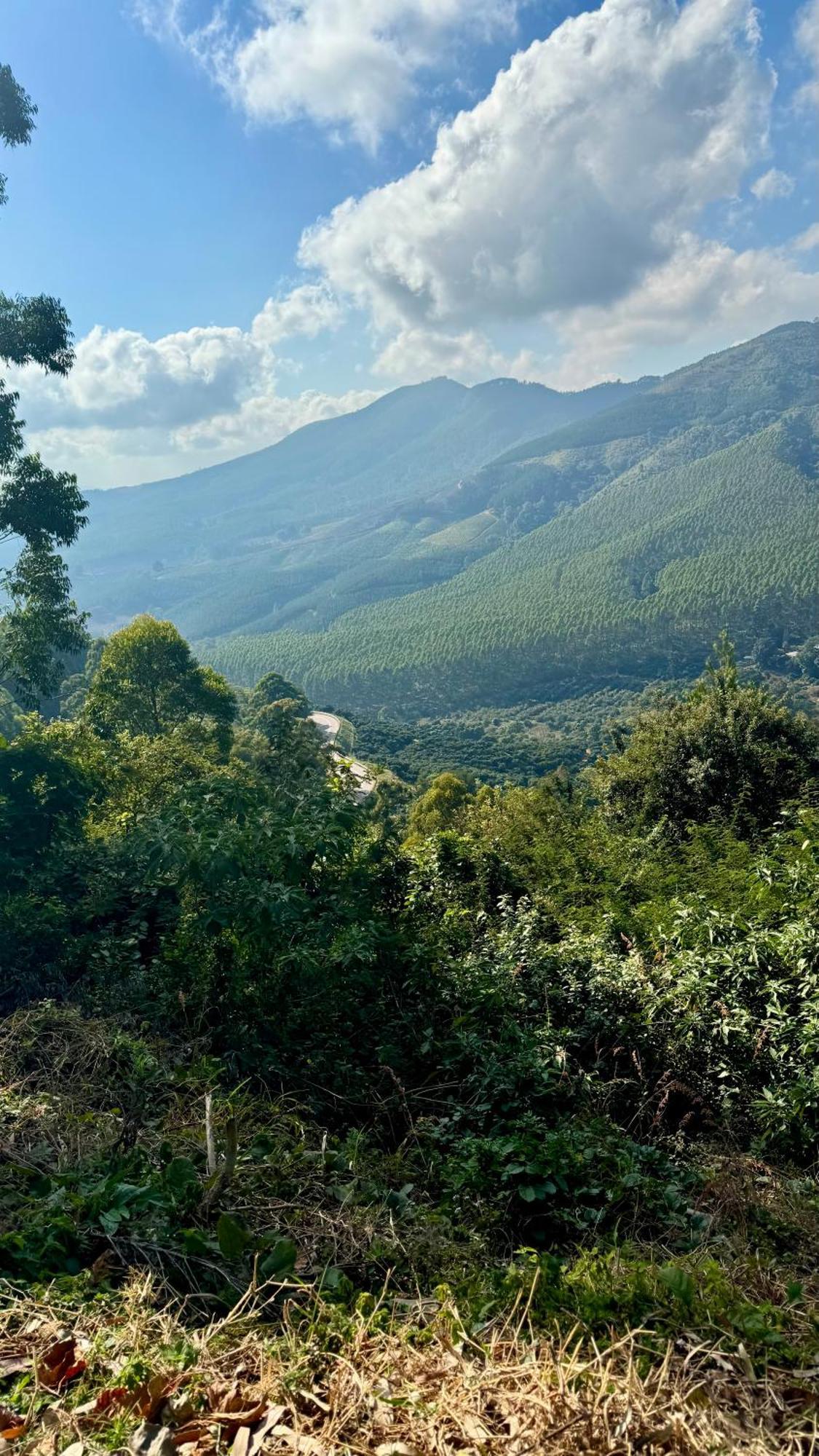 Magoebaskloof Mountain Lodge 桑尼 外观 照片