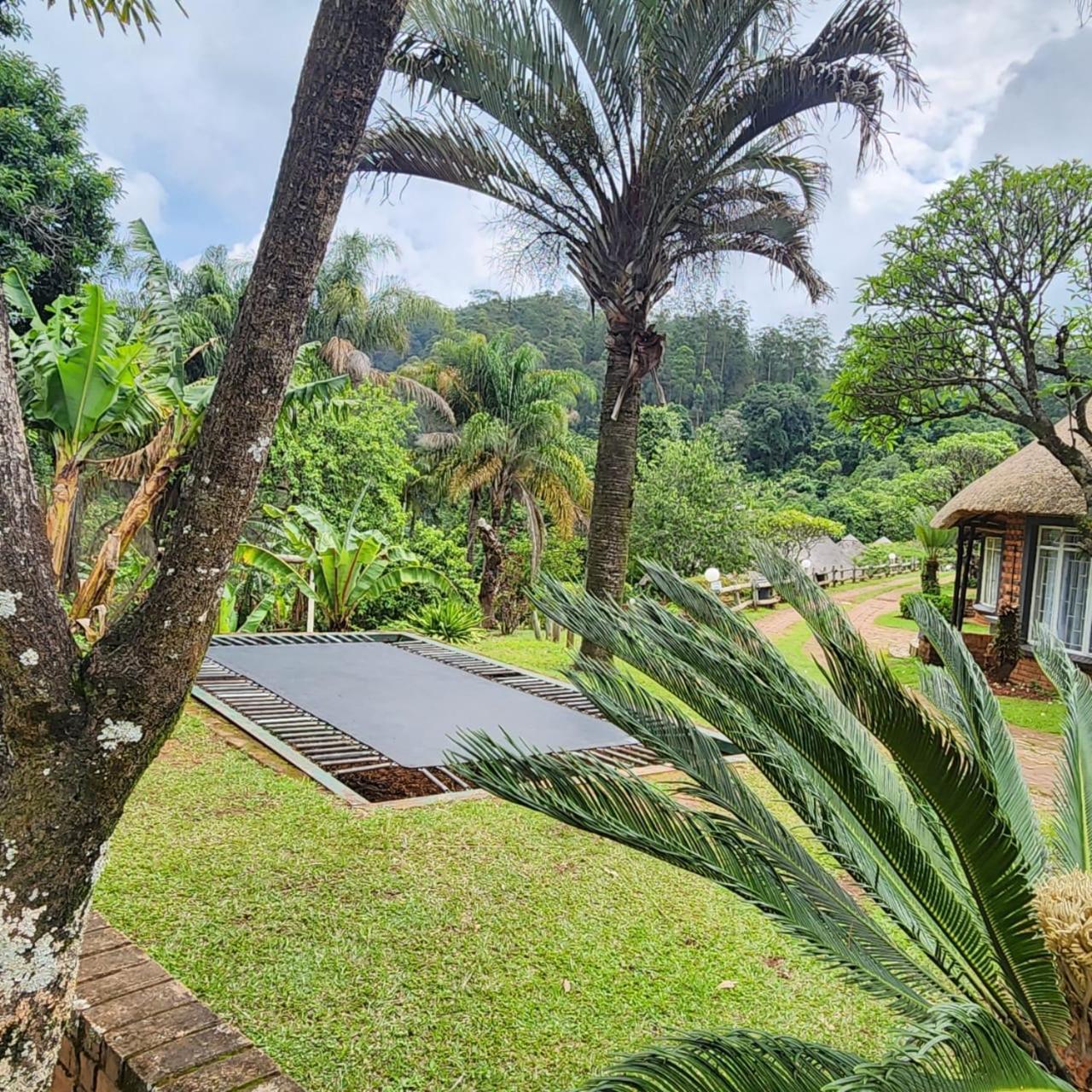 Magoebaskloof Mountain Lodge 桑尼 外观 照片